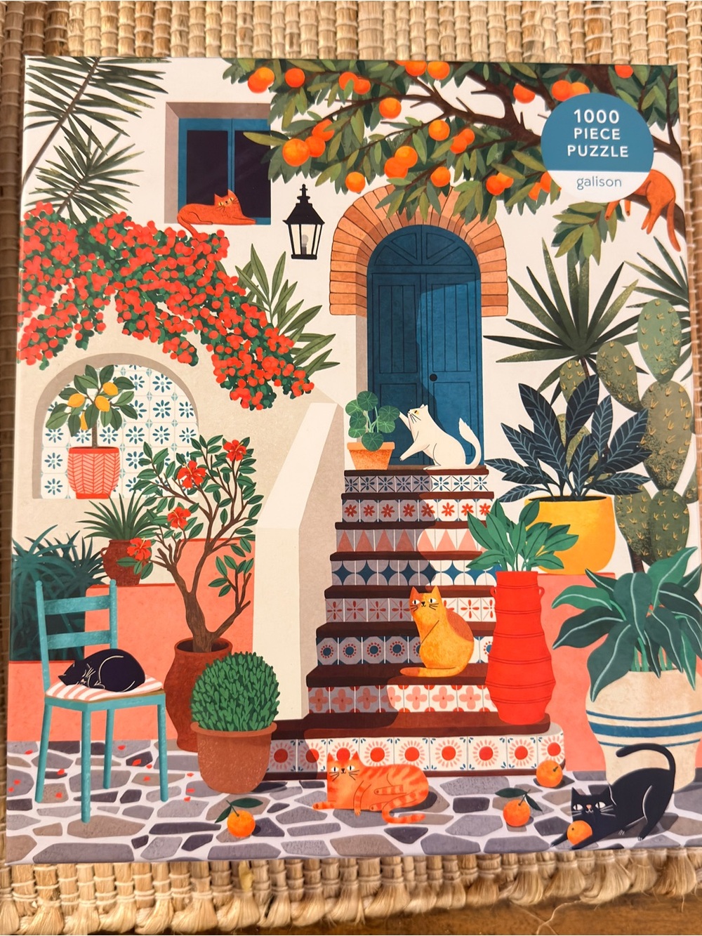Galison 1000 piece puzzle Mediterranean Cats